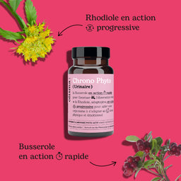 Confort Urinaire