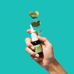 Spray nasal