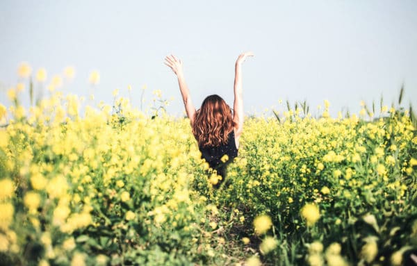 Notre programme de méditation